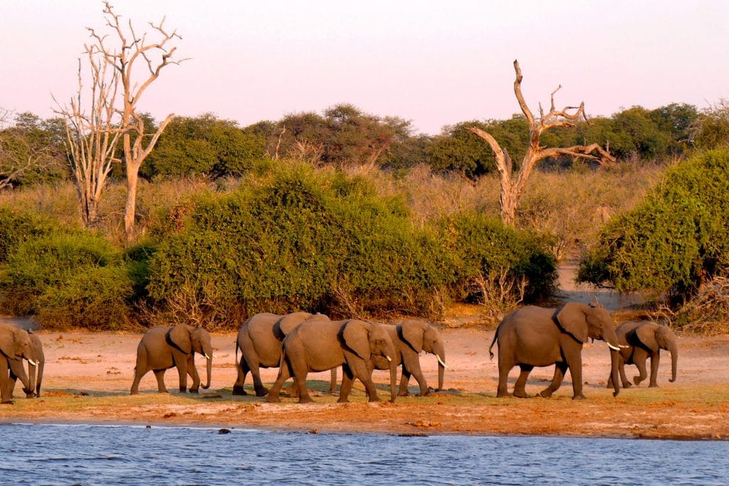 Visite de Mombasa, Kenya