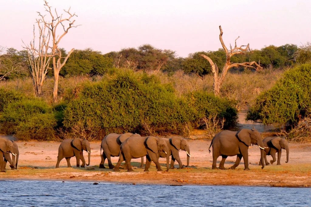 Visite de Mombasa, Kenya