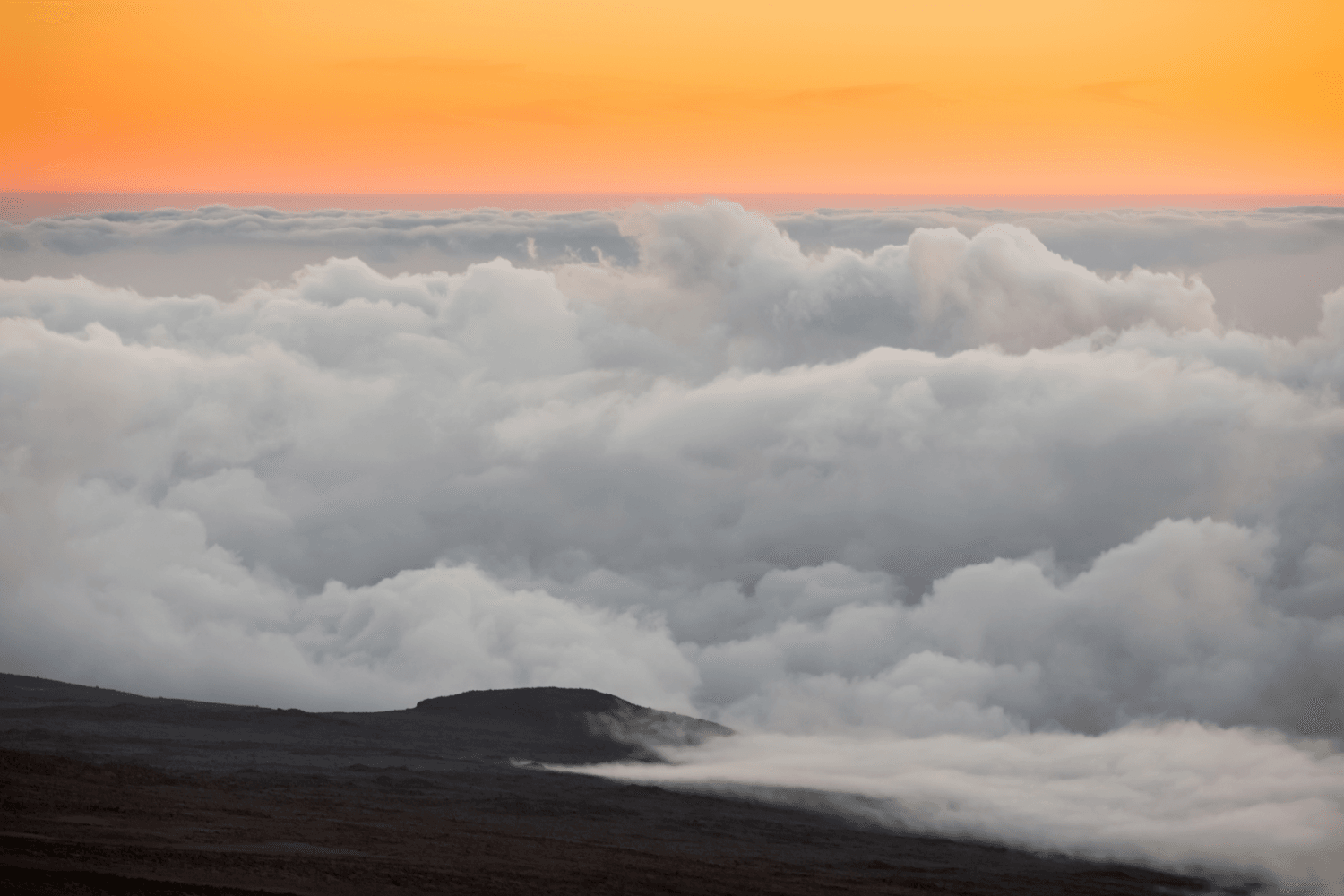 Kilimandjaro Tanzanie