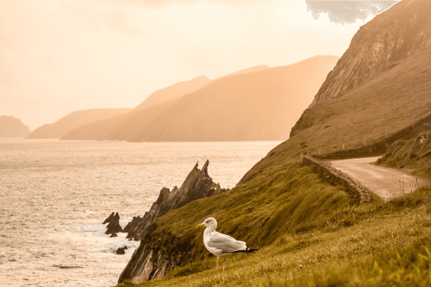 Anneau de Kerry Irlande
