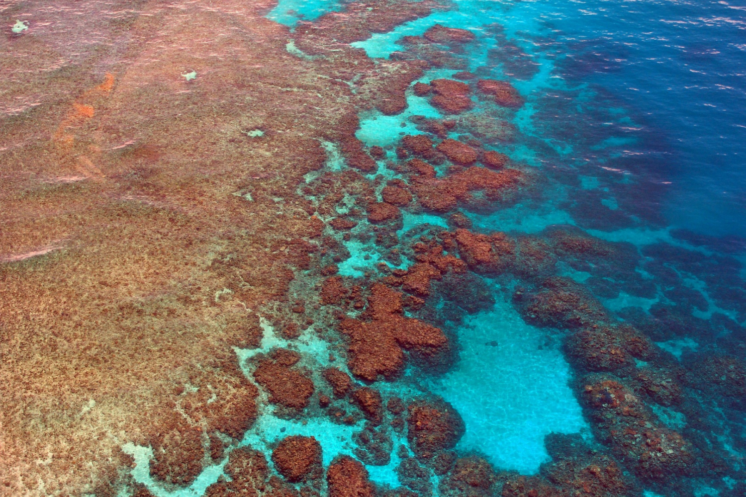 Grande barrière de corail Australie