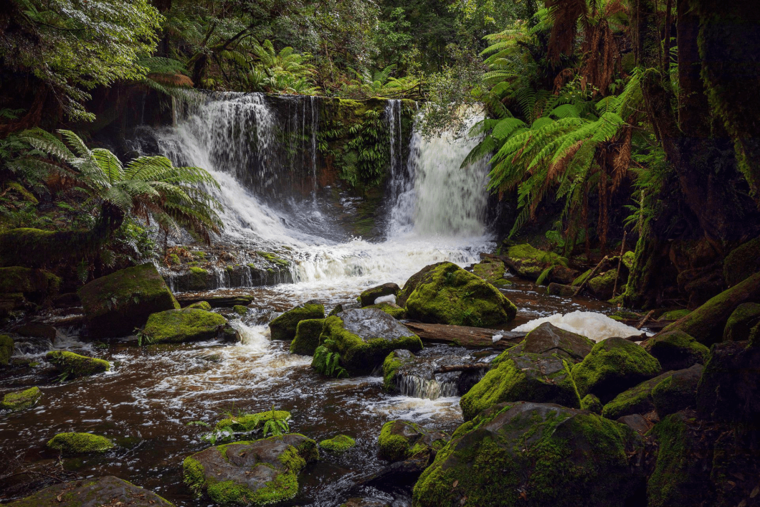 Wooroonooran Australie