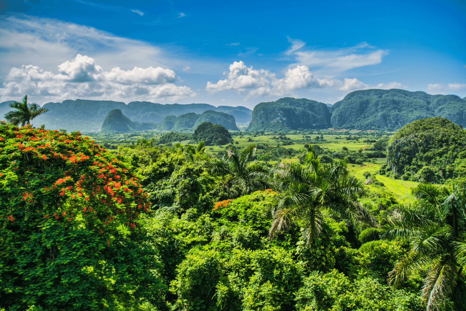 Viñales Cuba