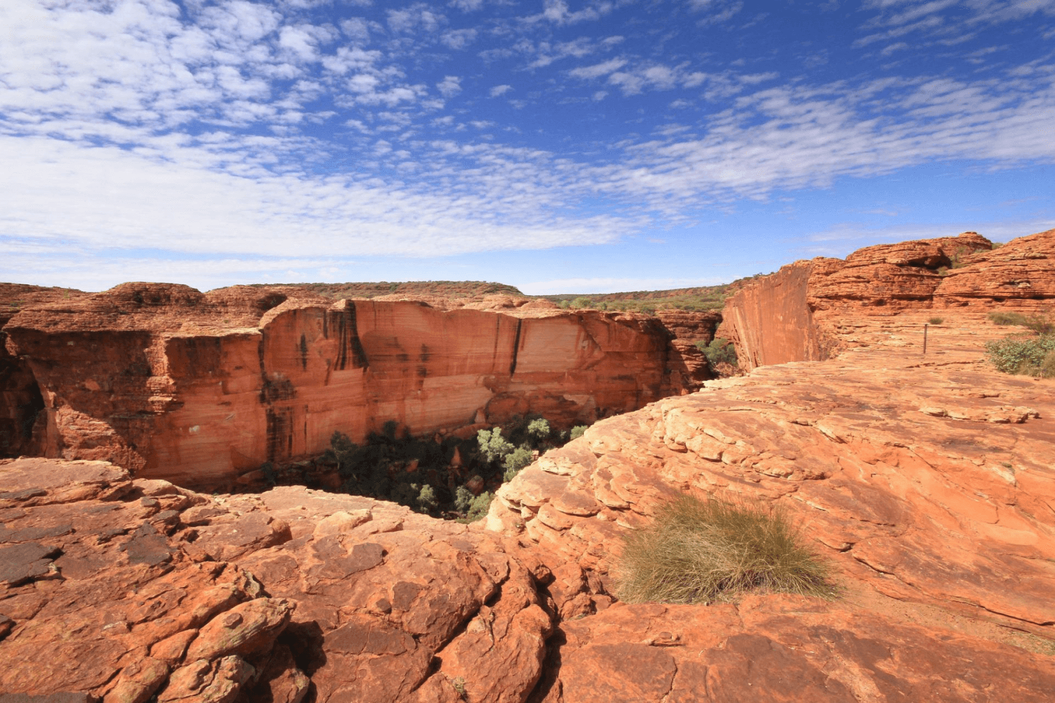 Kings Canyon Australie