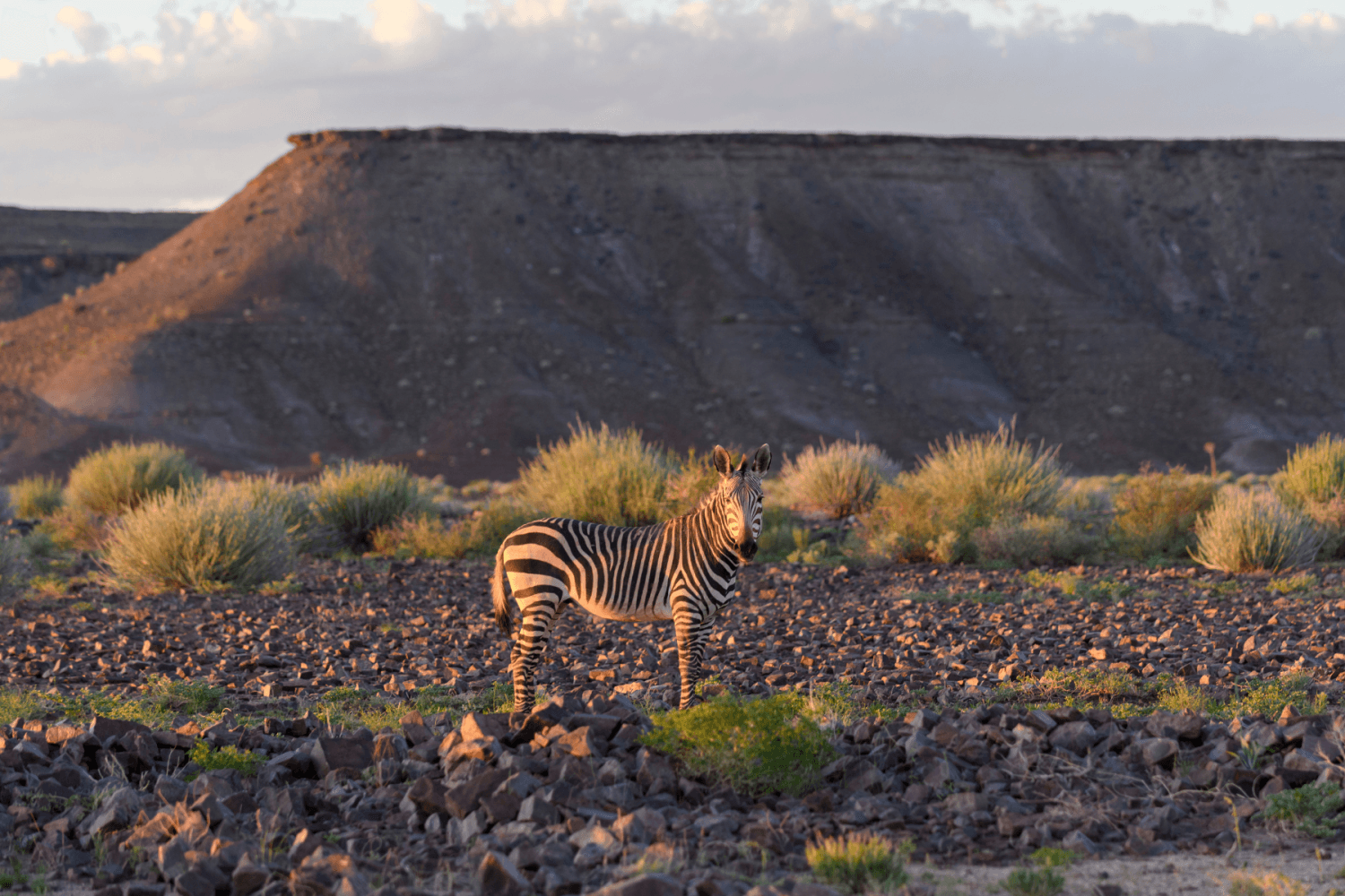 Parc National Ngorongoro Tanzanie