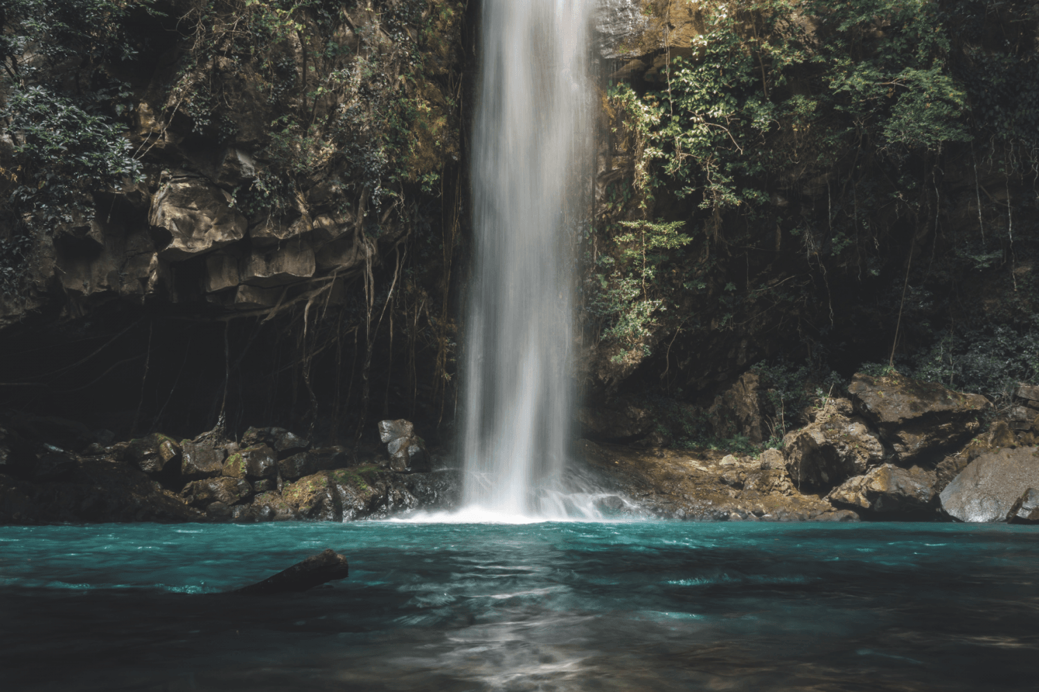 Cañas Costa Rica