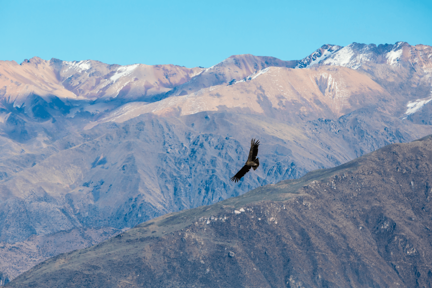 Colca Pérou