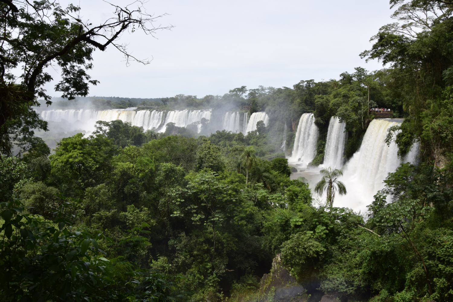 Parc National d’Iguazu argentine