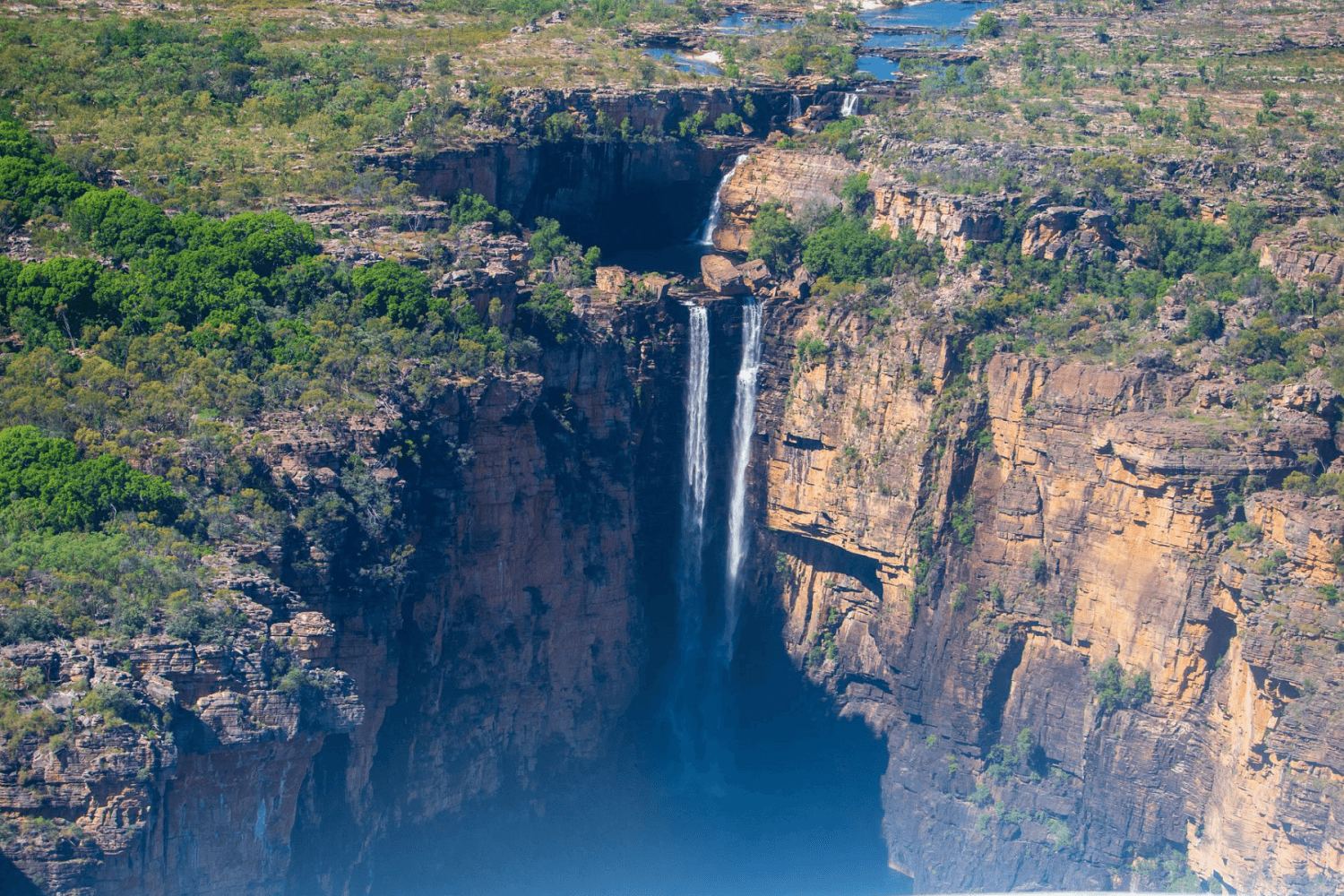 Kakadu Australie