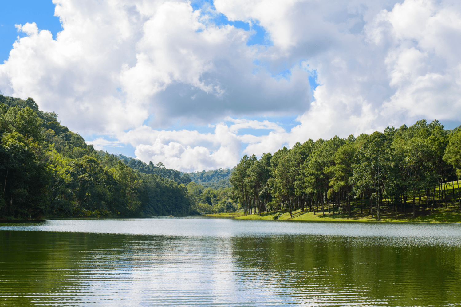 Région du Lac-St-Jean Canada