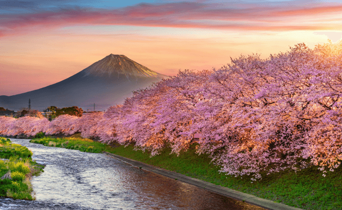 Japon séjour