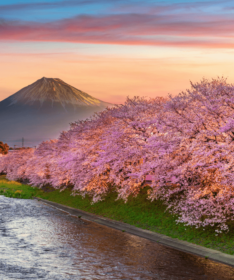 Japon séjour