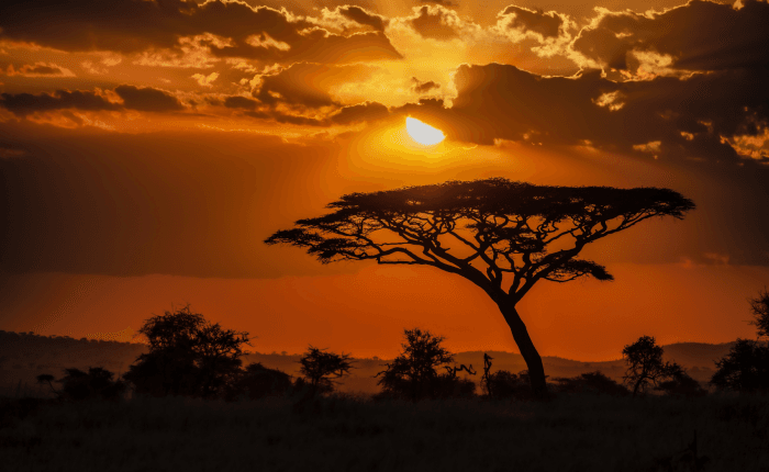 Tanzanie