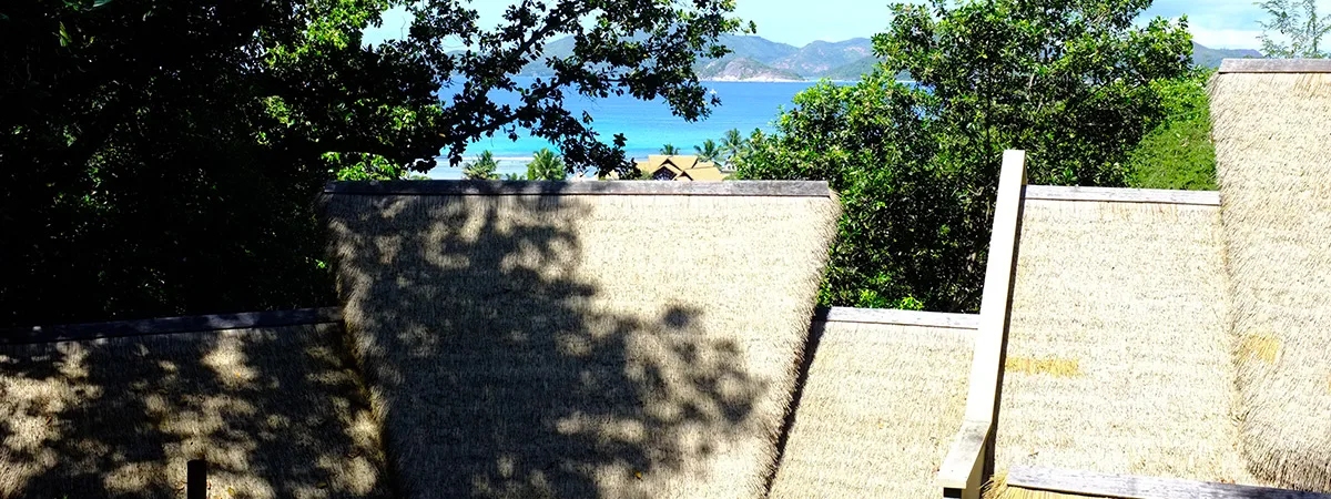 vue-générale-orangeraie-la-digue