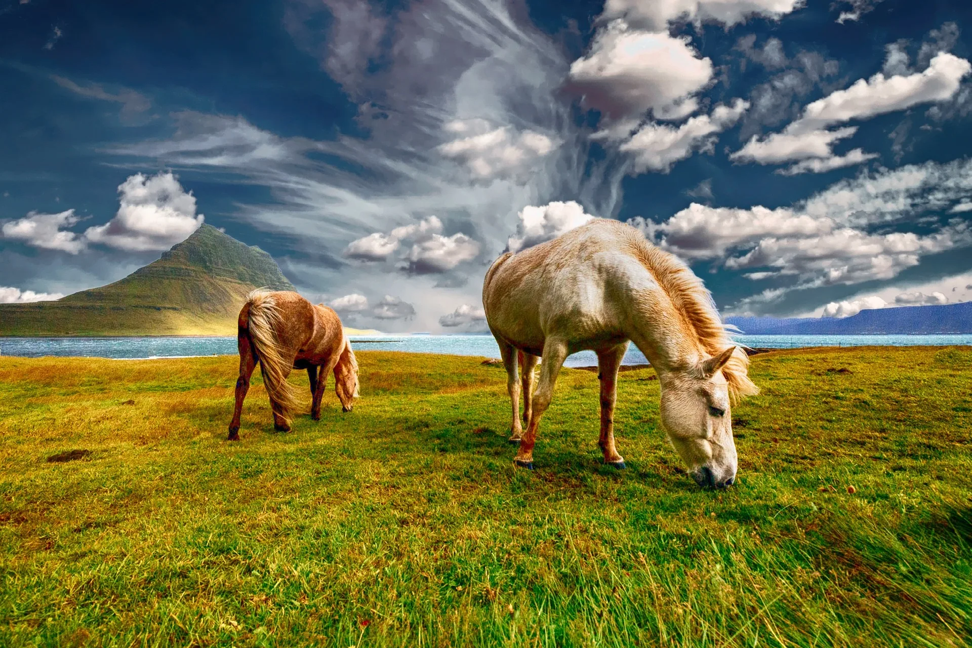Balade à cheval Islande