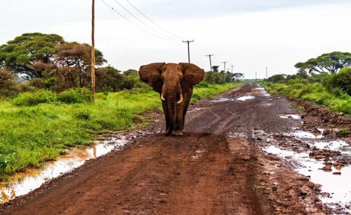 Kenya