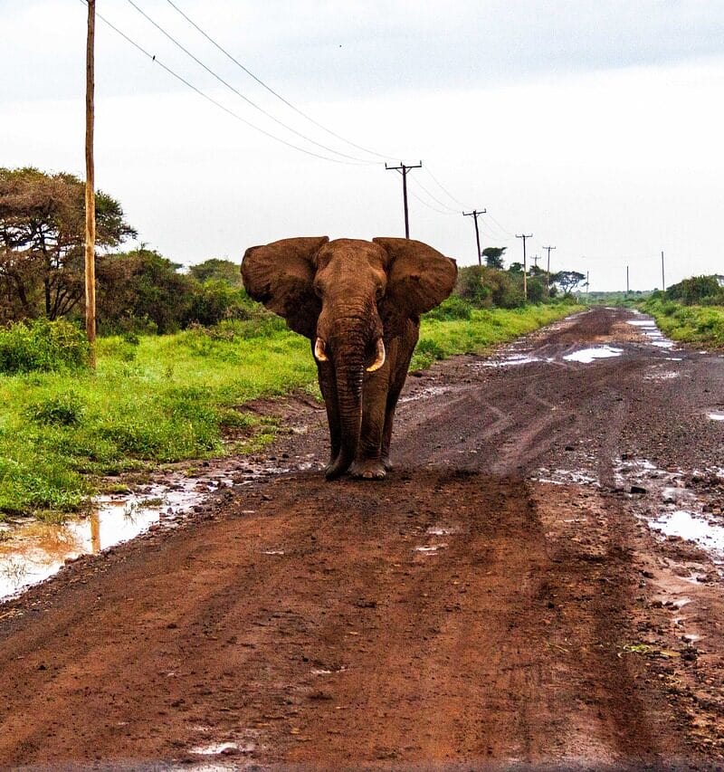 Kenya